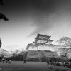 小田原城
