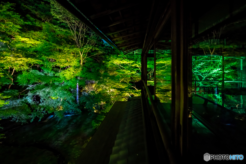 京都瑠璃光院