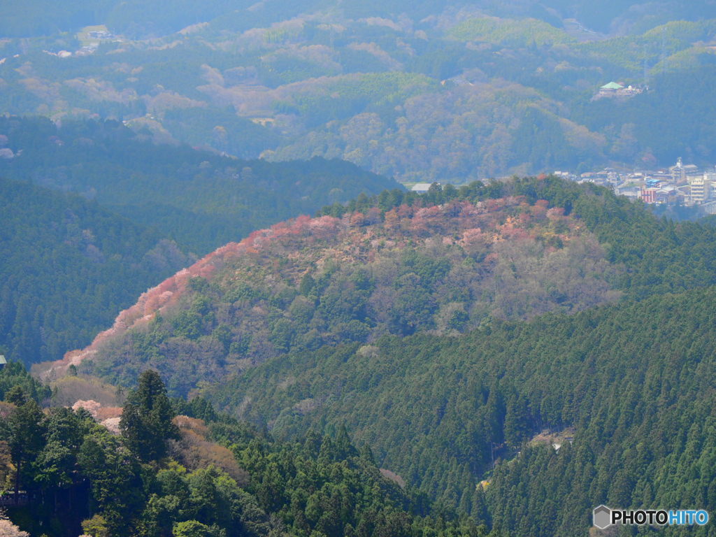 虹色の山(吉野山)