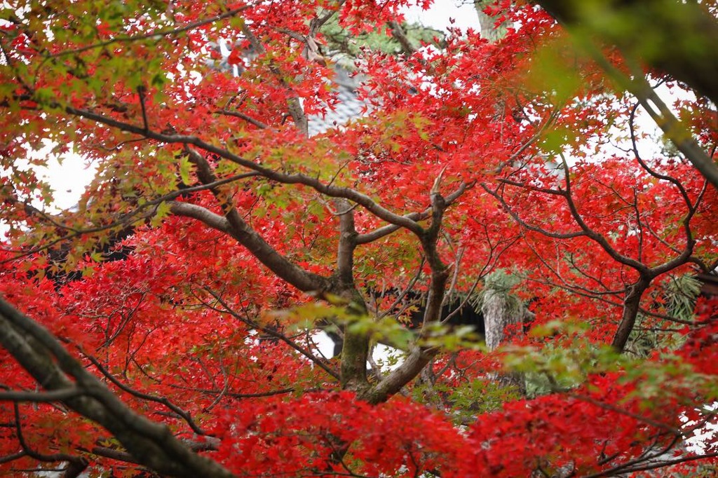 東福寺