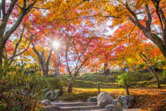 東福寺