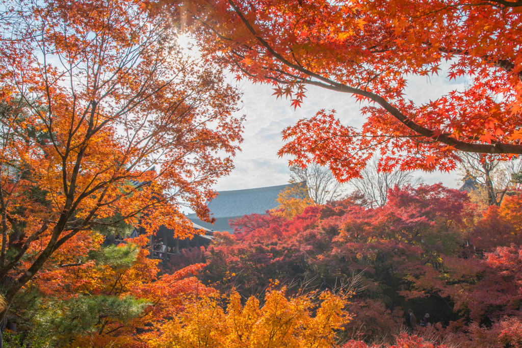 東福寺