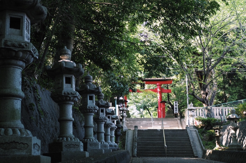 神社めぐり