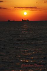 夕日