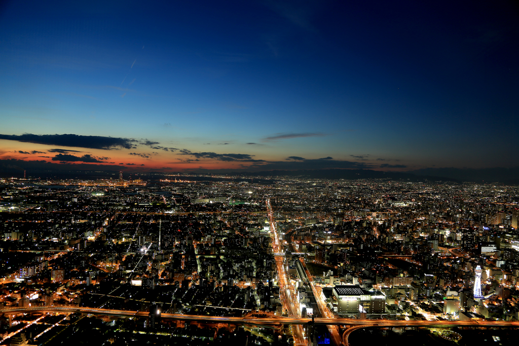 ハルカスからの夜景