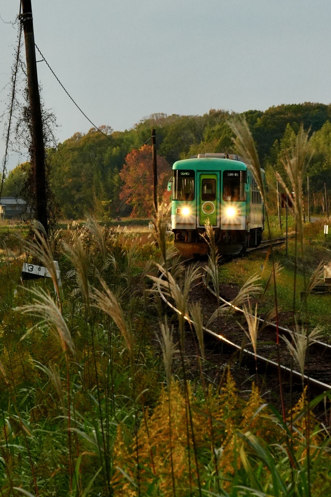 秋の夕暮れ列車