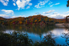 貯水池の秋