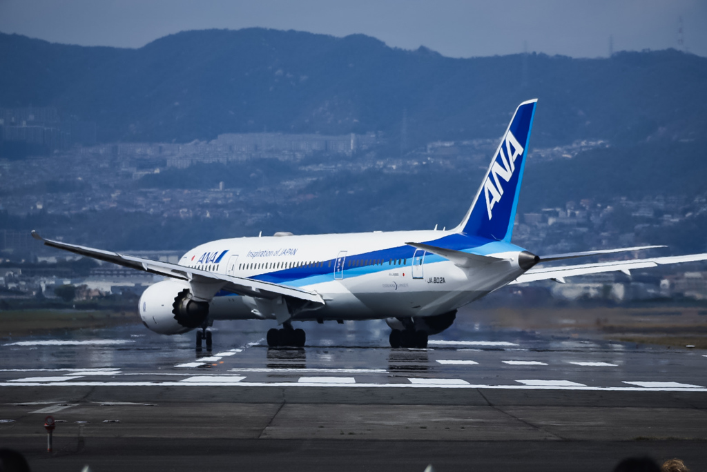 ANAなんだけども、あー何だ