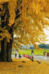 秋を纏う人たち