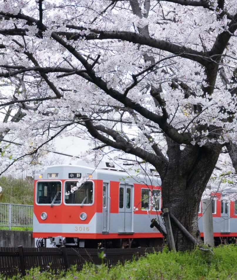 ウルトラマン列車