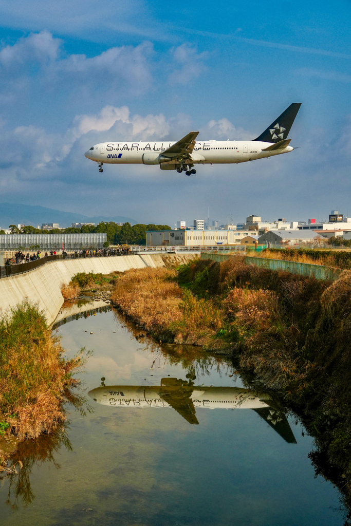 千里川のスターアライアンス