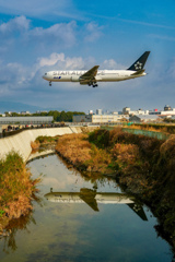 千里川のスターアライアンス