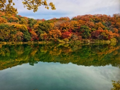 貯水池の紅葉