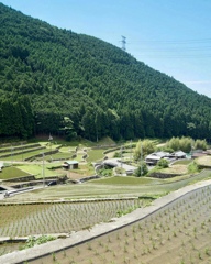 岩座神の棚田