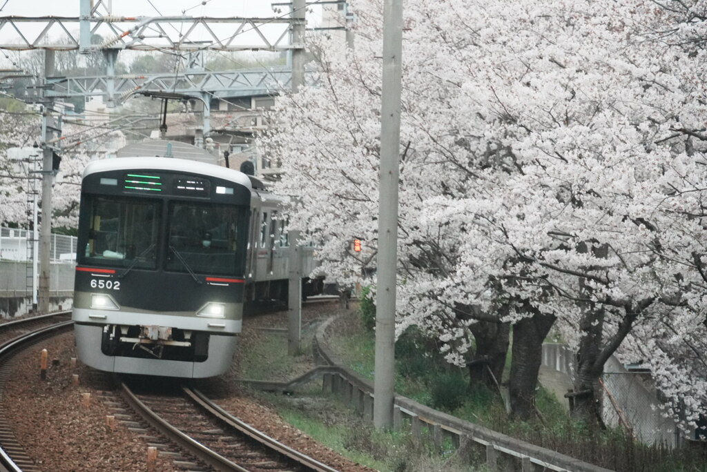 春の神戸電鉄