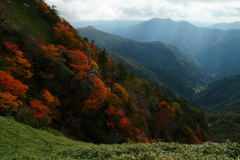 剣山の紅葉