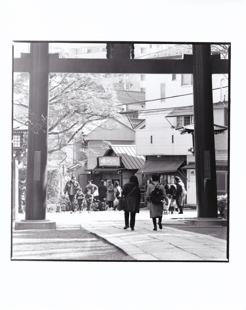 文京区根津神社