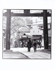 文京区根津神社