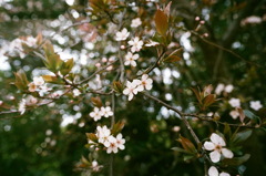 稲毛海浜公園