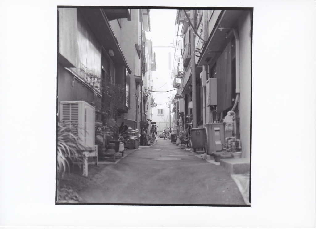 文京区千駄木付近路地裏