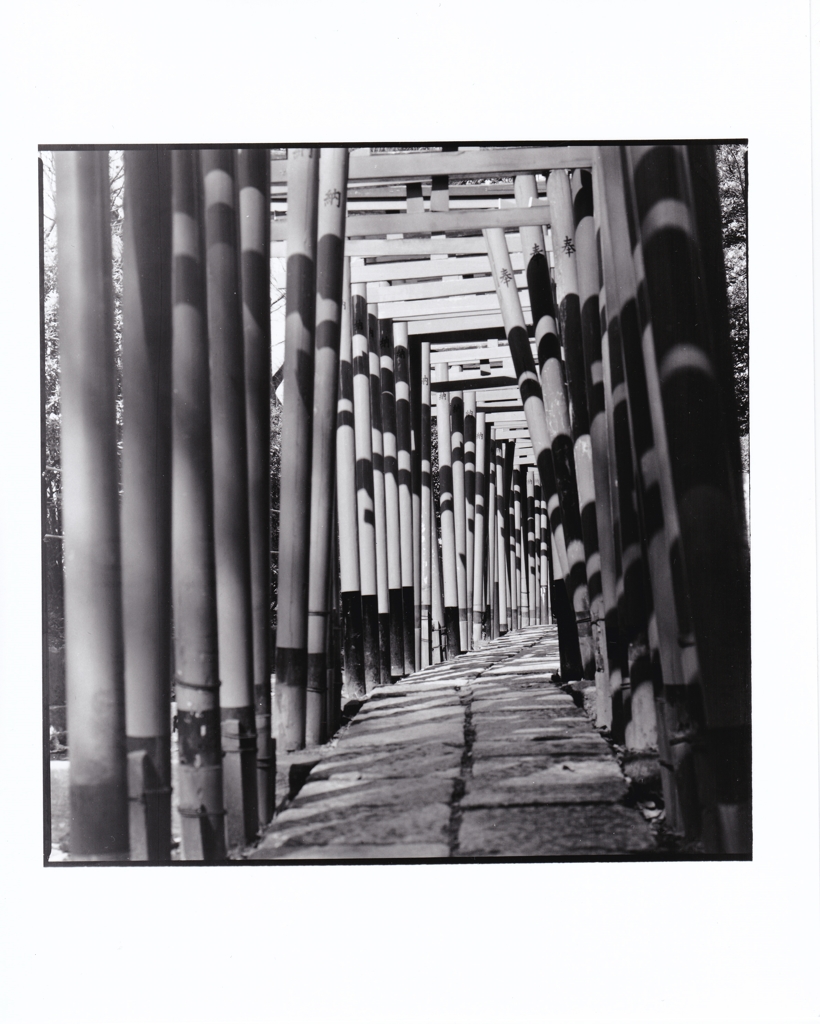 文京区根津神社