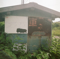 近所④