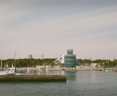 海浜公園