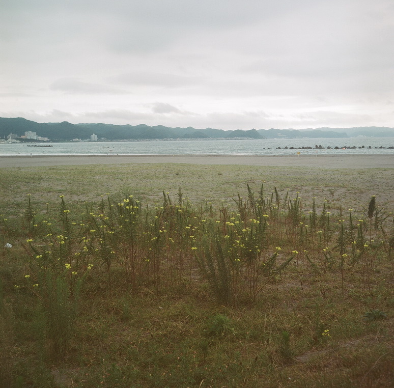 鴨川４