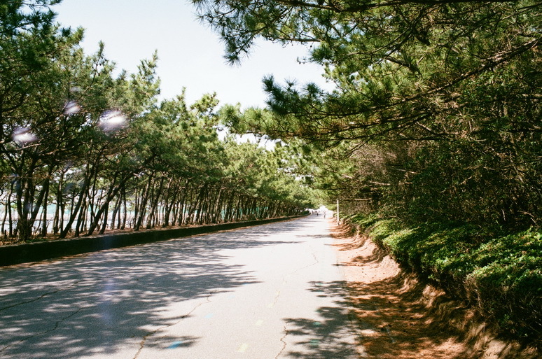 稲毛海浜公園