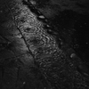 雨波