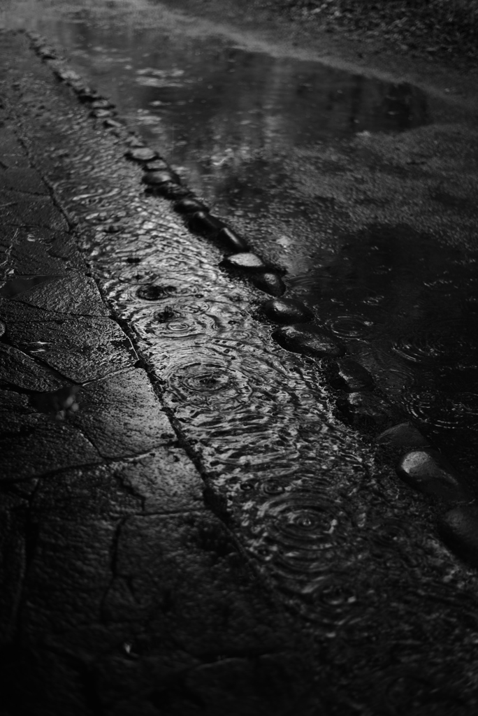 雨滴落下