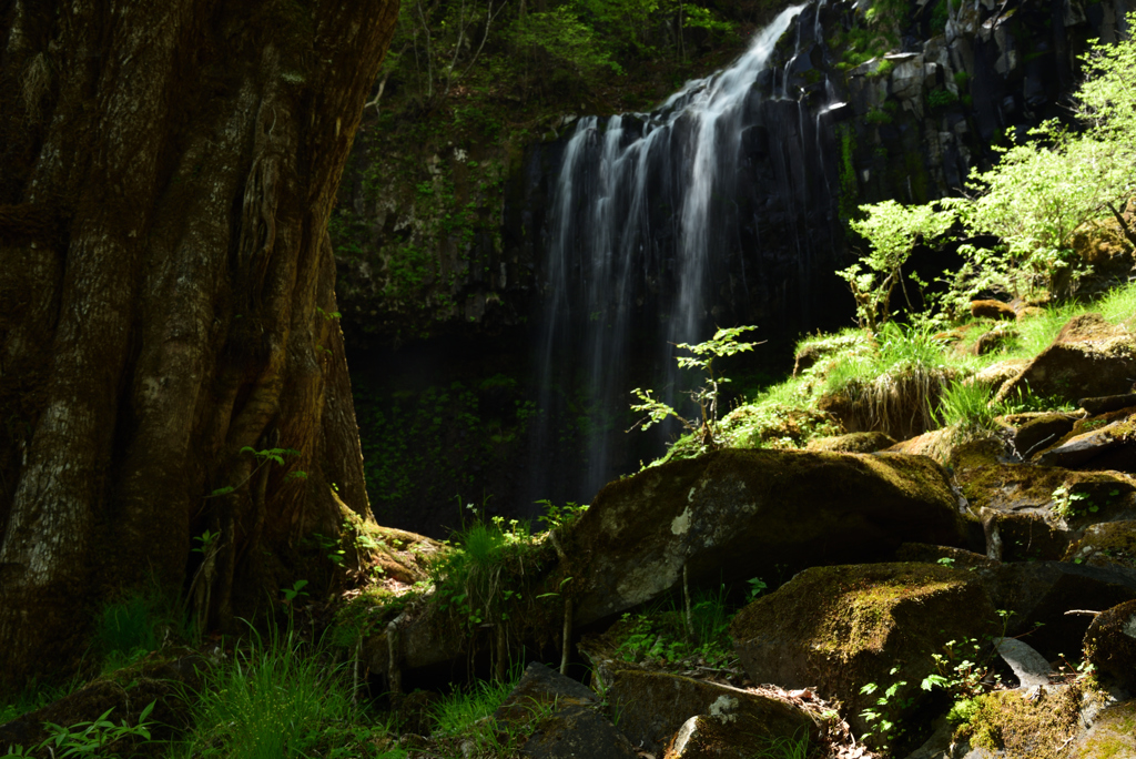 滝のある風景