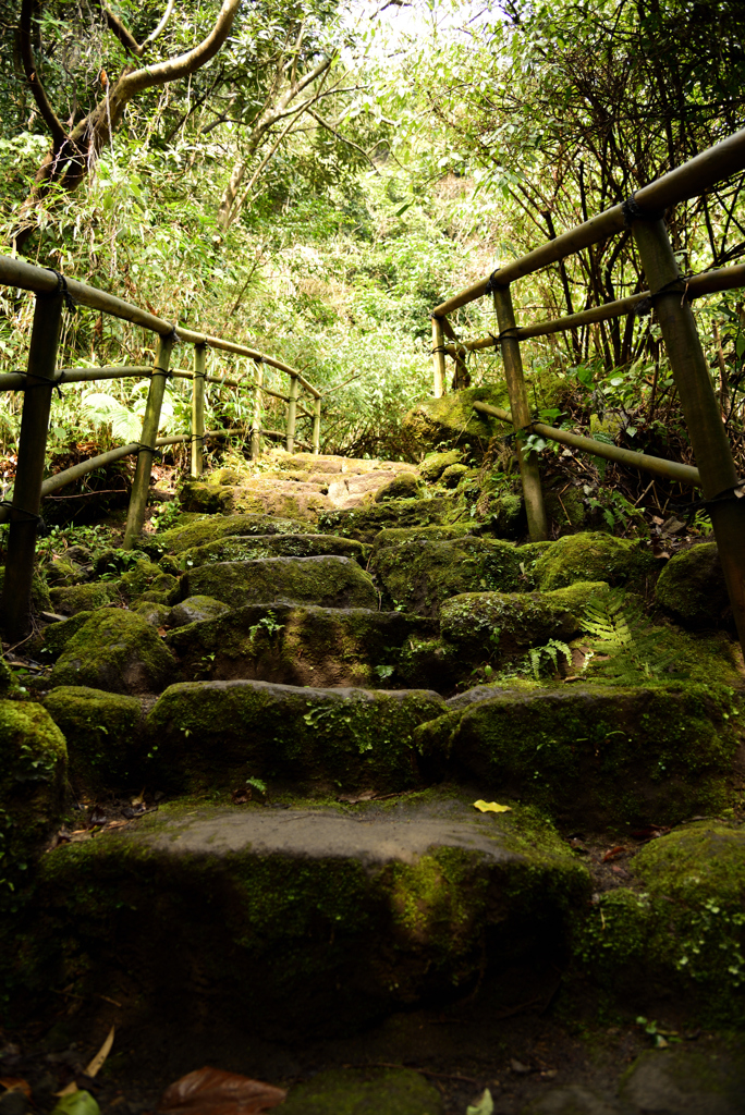 仙巌園の石段