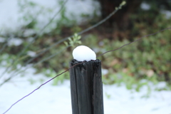 残雪2