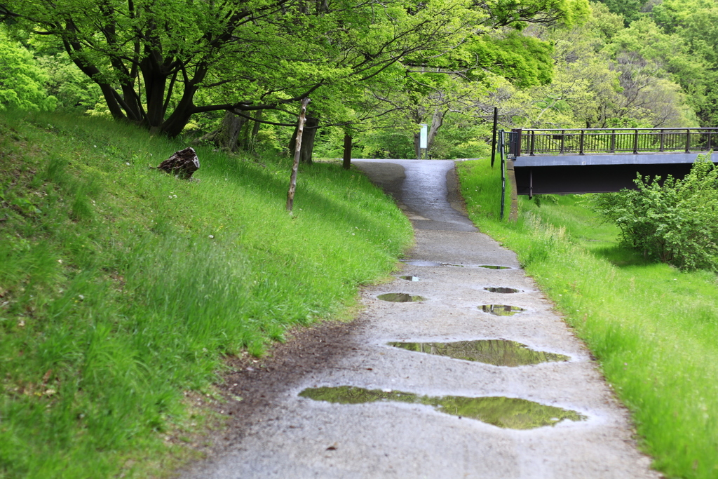 野川公園　雨
