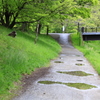 野川公園　雨