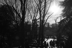井之頭公園