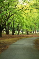 野川公園