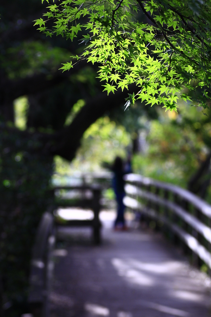 三宝寺池