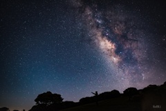 星をつかまえたい