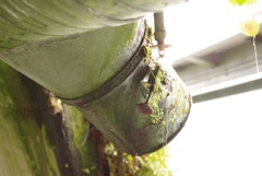 苔むしたダクト