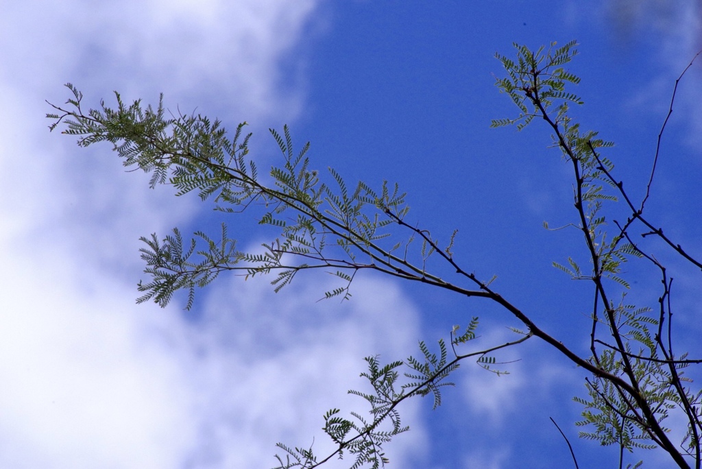 青空