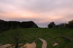 IMGP2960