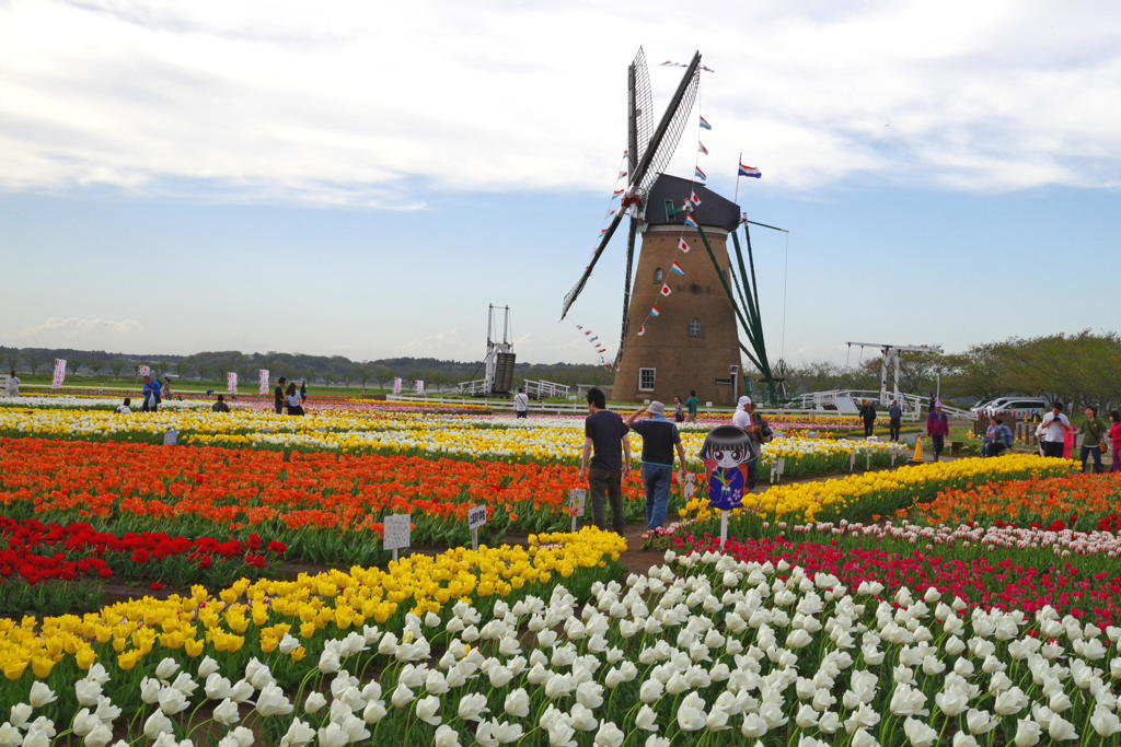 IMGP3196