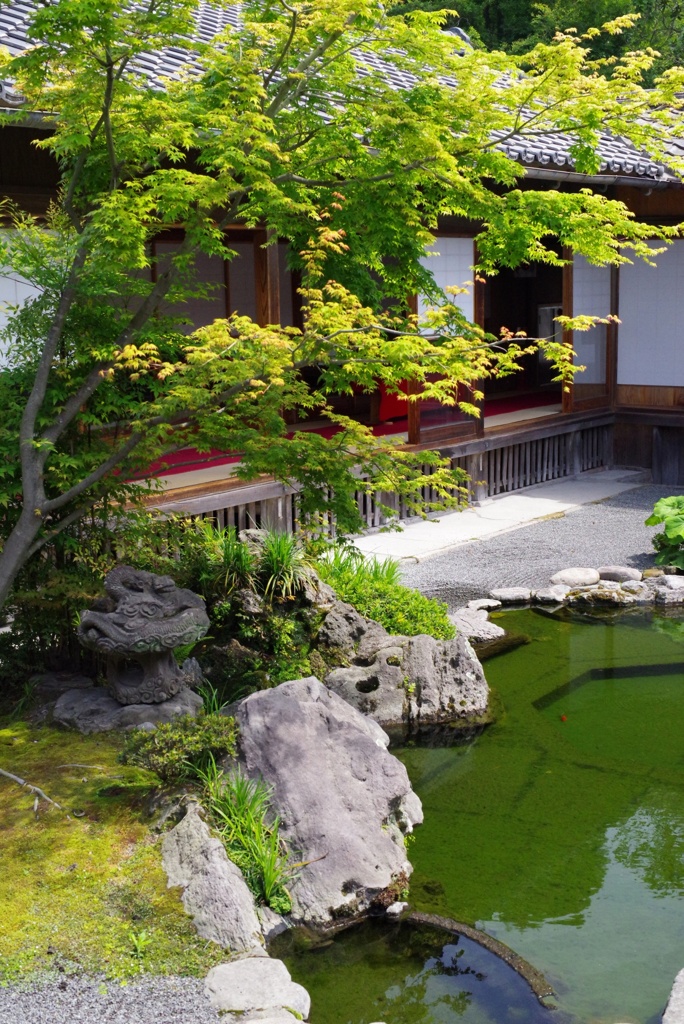 日本庭園2