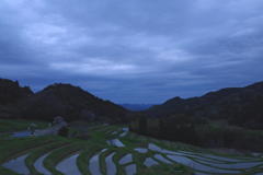 IMGP2939
