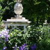 IMGP3692