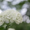 IMG_8114