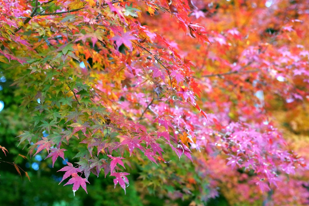 A2AA57C8-C1CD-47EF-9EF9-34CB7B94B6D1