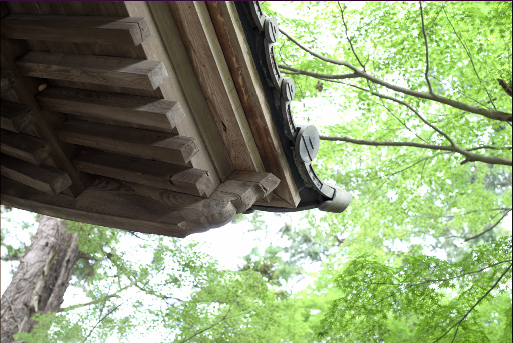 北鎌倉2